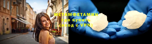 прущие грибы Нягань