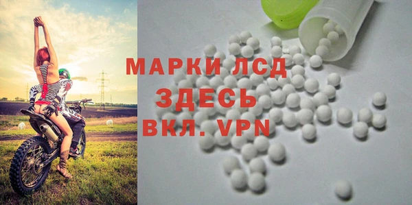 СК Абинск