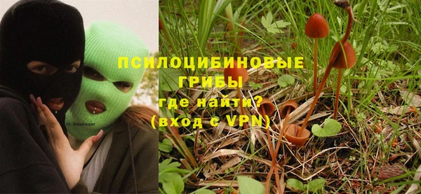 СК Абинск