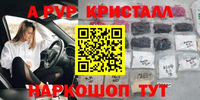ECSTASY Новозыбков