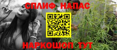 ECSTASY Новозыбков