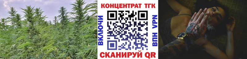 MEGA маркетплейс  Элиста  Дистиллят ТГК Wax 