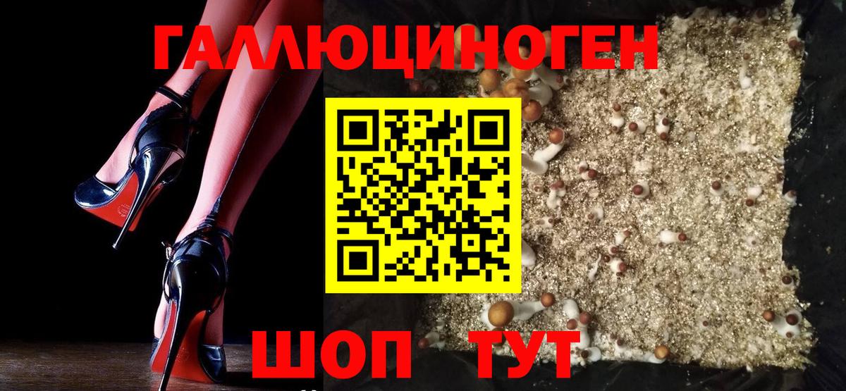 Элиста  Галлюциногенные грибы Magic Shrooms  Вход с VPN 