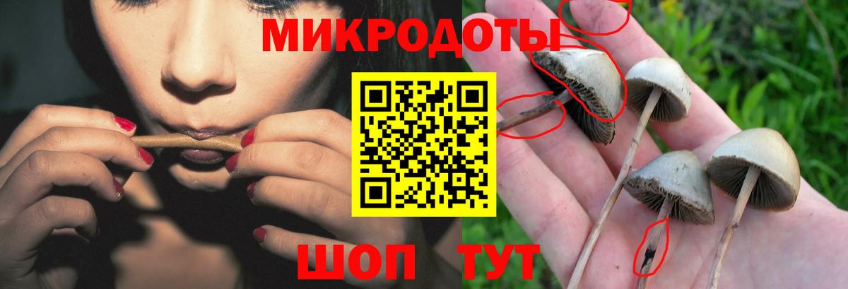 Псилоцибиновые грибы ЛСД Элиста