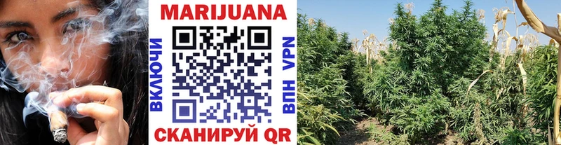 Каннабис White Widow  Элиста 