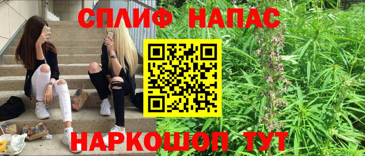 Конопля сатива  Вход с VPN  Элиста  Шишки марихуана OG Kush  Шишки марихуана планчик 